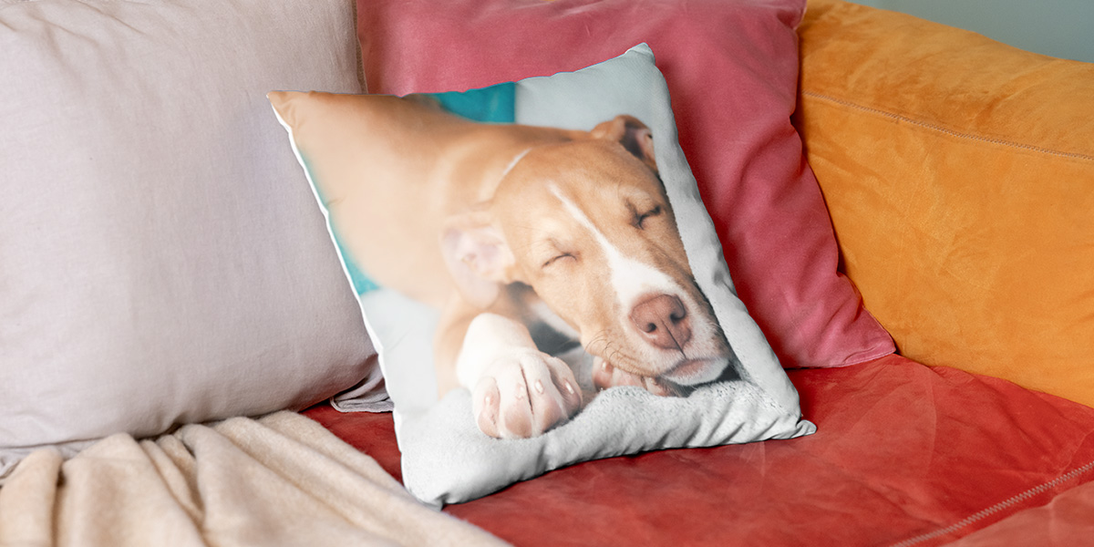 7 schnelle Fotogeschenke, fertig in 15 Minuten