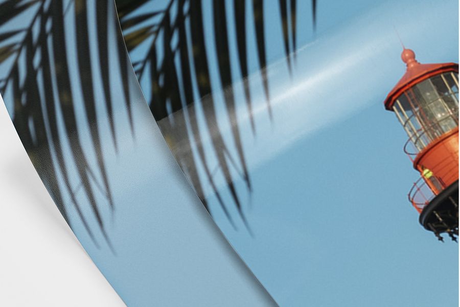 Ein Palmenblatt als Bilder matt und glänzend im Vergleich.