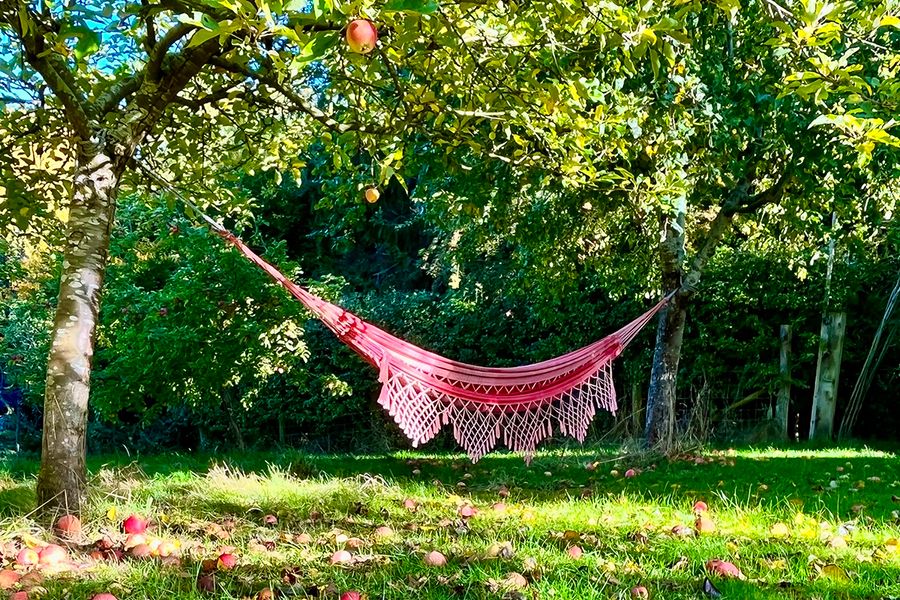 Eine Hängematte hängt an einem Apfelbaum im Garten und steht für posterXXLs entspannende Staycation-Ideen.