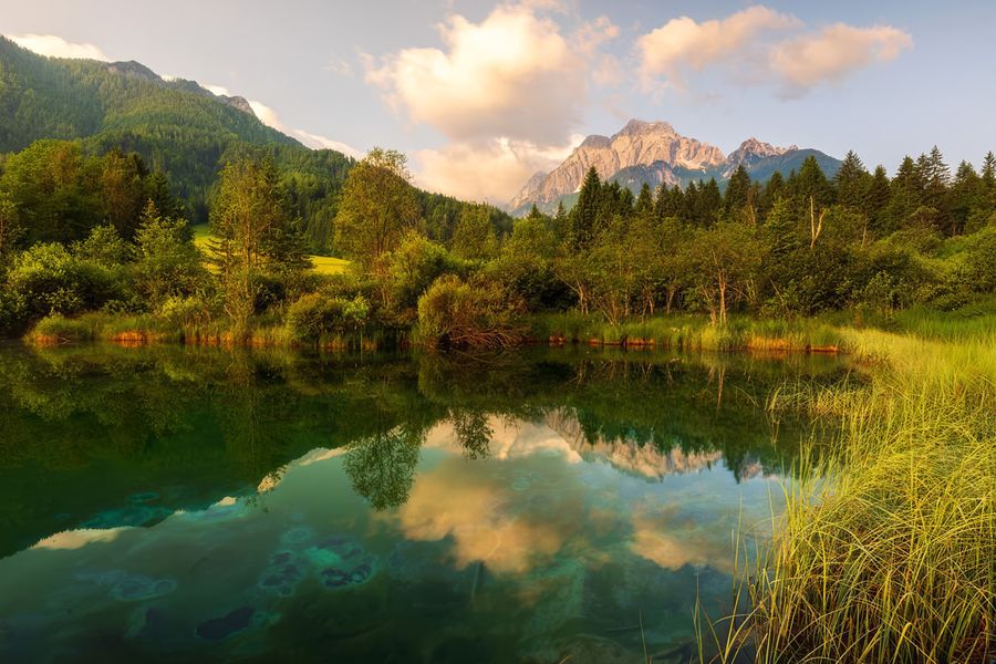 Hoch aufragende Kalksteingipfel und das klare, spiegelnde Wasser des Bohinjer Sees im Nationalpark Triglav in Slowenien, einer der besten Nationalparks Europas in posterXXLs Ratgeber.