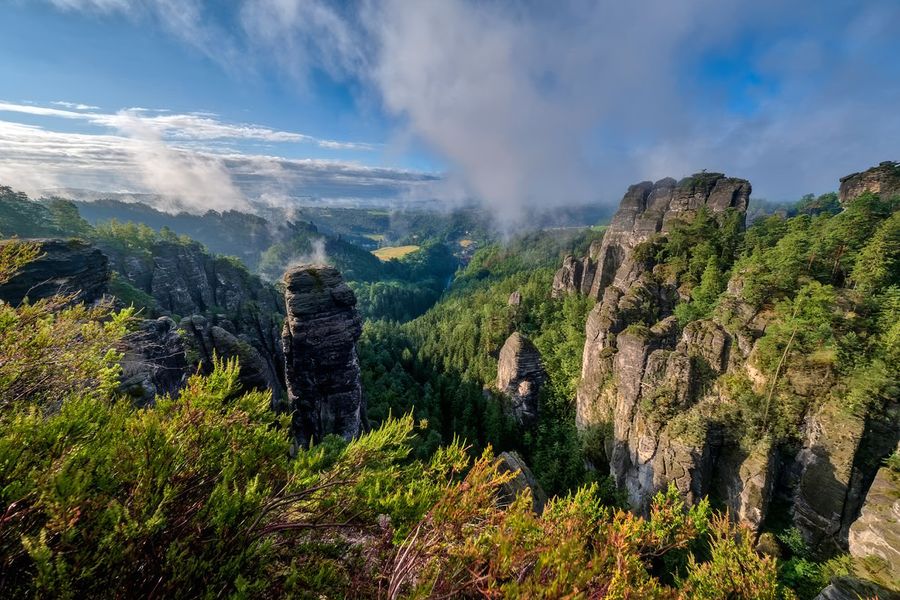 Bizarre Sandsteinpfeiler erheben sich über nebligen grünen Wäldern nahe der historischen Basteibrücke im Nationalpark Sächsische Schweiz in Deutschland, einer der besten Nationalparks, die Deutschland zu bieten hat, in posterXXLs Ratgeber.