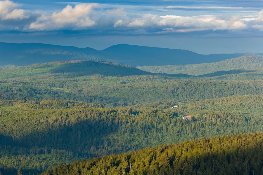 Endlose Kiefernwälder und Gletscherseen erstrecken sich über den Nationalpark Šumava in Tschechien, oft als 