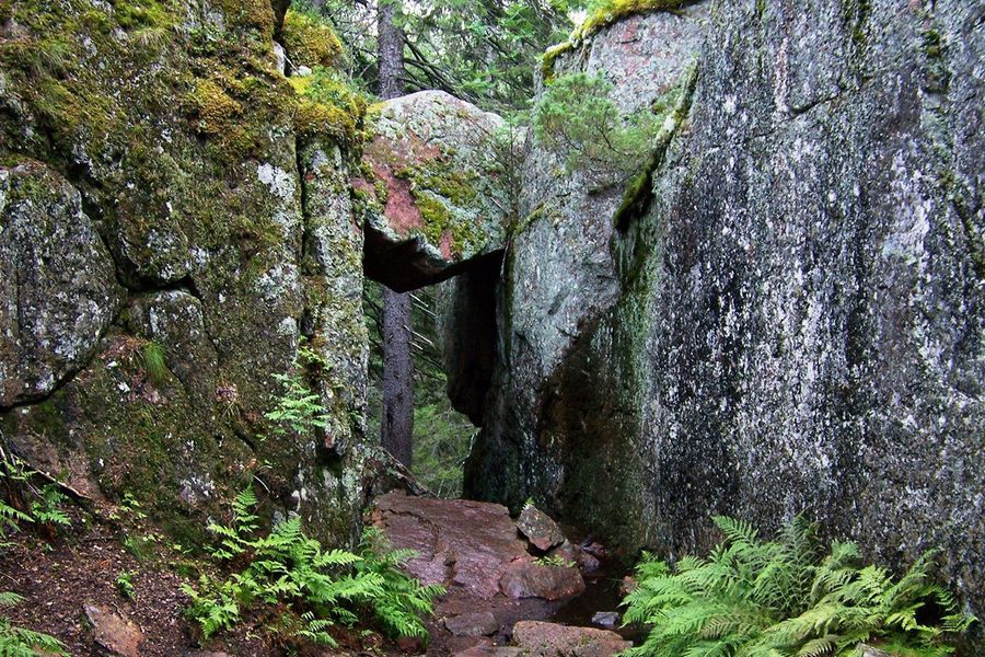 Dichte Fichtenwälder treffen auf die felsigen Ufer der Ostsee im Nationalpark Skuleskogen an der Hohen Küste Schwedens, einer der besten Nationalparks Europas in posterXXLs Ratgeber.