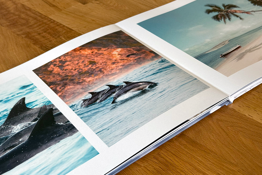 Eine aufgeschlagene Doppelseite aus Charl van Rooys Fotobuch zeigt tropische Bilder, darunter schwimmende Delfine und eine tropische Strandszene, und veranschaulicht die visuelle Erzählweise seines Fotografie-Portfolios.