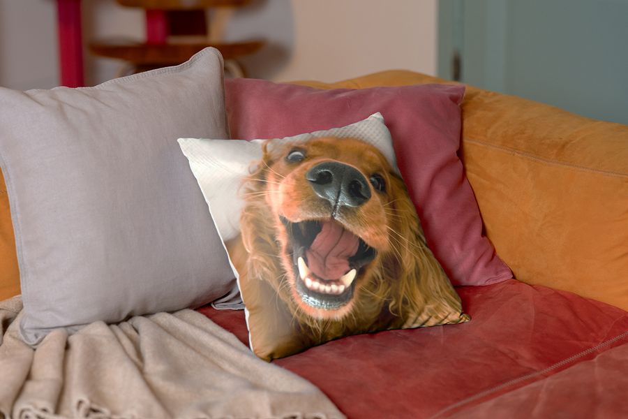 Ein personalisiertes Kissen mit dem Foto eines Hundes liegt auf einem roten Samtsofa und veranschaulicht, wie ein posterXXL Kissen einem Hygge-Zuhause weiche Textur verleiht.