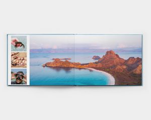 Fotos verteilt auf Seiten eines Layflat-Buchs im Querformat