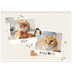 Fotokalender A4 doppelt (30 x 40 cm) — Verspieltes Kätzchen [deckblatt]