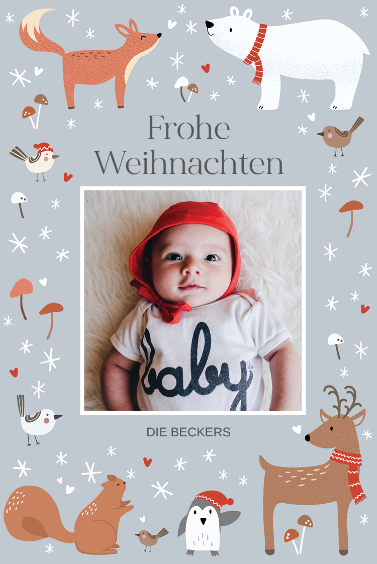 Fotokarten — Winterliche Waldfreunde