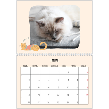 Fotokalender A4 doppelt — Katzen und Kritzeleien