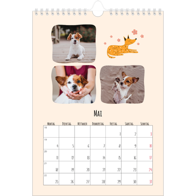 Fotokalender A4 (20 x 30 cm) — Hunde und Kritzeleien [deckblatt]