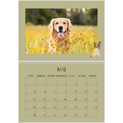 Fotokalender A4 doppelt (30 x 40 cm) — Verspielter Welpe [deckblatt]