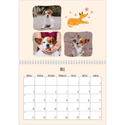 Fotokalender A4 doppelt (30 x 40 cm) — Hunde und Kritzeleien [deckblatt]