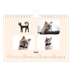 Fotokalender A5 — Katzen und Kritzeleien [Februar]