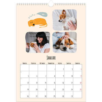Fotokalender A3 — Hunde und Kritzeleien