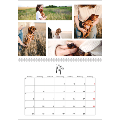 Fotokalender A4 doppelt (30 x 40 cm) — Fotoarrangement [deckblatt]