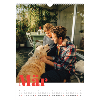 A3 Jahreskalender — Kräftige Farben [Marsch]