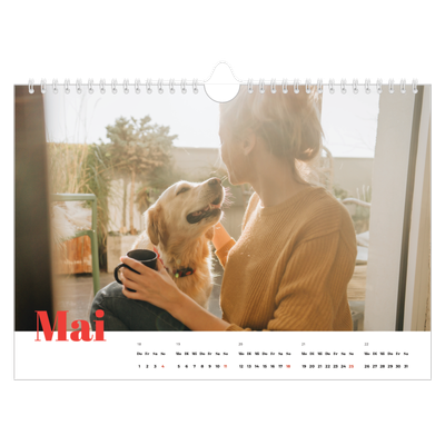 Fotokalender A4 — Kräftige Farben [deckblatt]