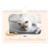 Fotokalender A5 — Katzen und Kritzeleien [Januar]