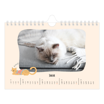 Fotokalender A5 — Katzen und Kritzeleien
