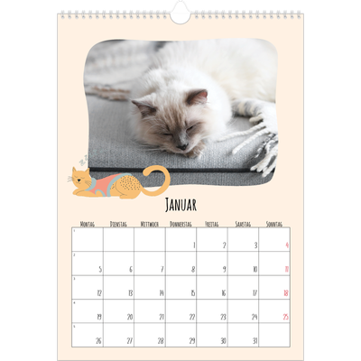 A3 Jahreskalender — Katzen und Kritzeleien [Januar]