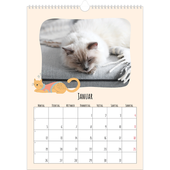 Fotokalender A3 — Katzen und Kritzeleien