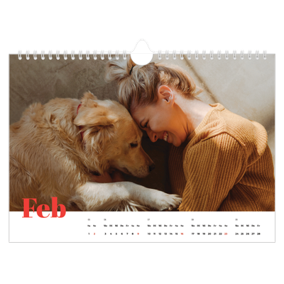 Fotokalender A4 — Kräftige Farben [Februar]