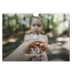 Fotokalender A4 — Zwölf große Monate [deckblatt]