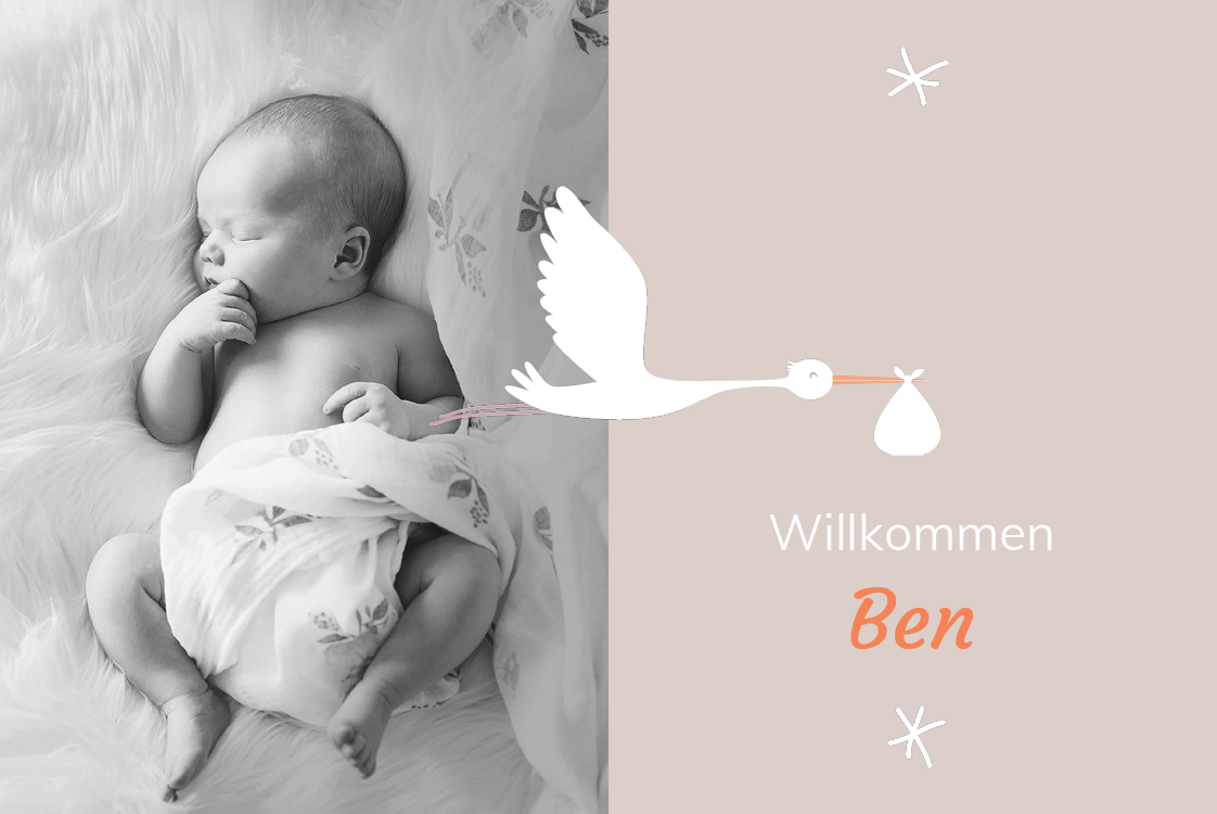 Einladungskarten — Mein Freund, der Storch