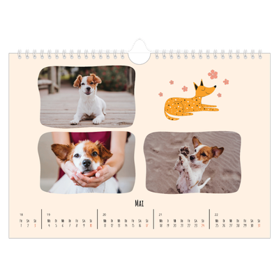 Fotokalender A4 — Hunde und Kritzeleien [deckblatt]
