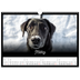 Fotokalender A3 — Schwarzes [Marsch]