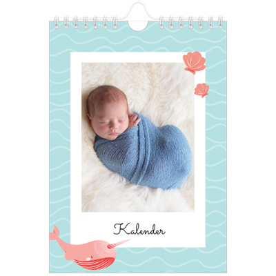 Fotokalender A5 — Süße Tiere [deckblatt]