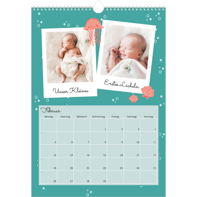 A3 Jahreskalender — Süße Tiere [Februar]