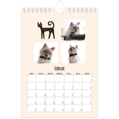 Fotokalender A5 — Katzen und Kritzeleien [Februar]