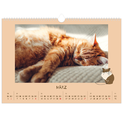 Fotokalender A3 — Verspieltes Kätzchen [Marsch]