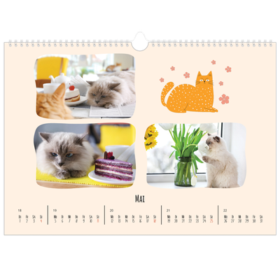 Fotokalender A3 — Katzen und Kritzeleien [deckblatt]