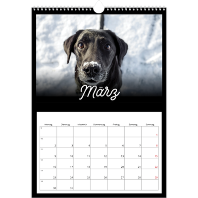 A3 Jahreskalender — Schwarzes [Marsch]