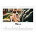 Fotokalender A4 — Handgeschrieben [Marsch]