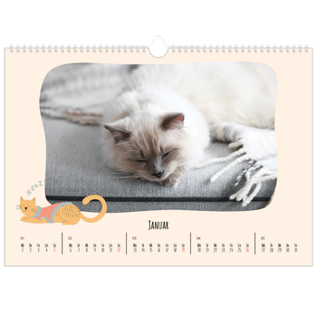 Fotokalender A3 — Katzen und Kritzeleien
