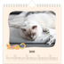 Jahreskalender Quadratisch — Katzen und Kritzeleien [Januar]