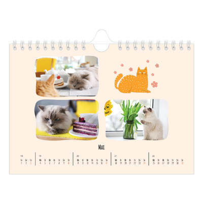 Fotokalender A5 — Katzen und Kritzeleien [deckblatt]