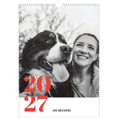 A3 Jahreskalender — Kräftige Farben [deckblatt]
