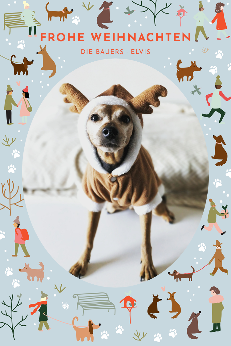 Fotokarten — Weihnachtshündchen
