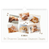 Fotokalender A4 — Verspieltes Kätzchen [Februar]