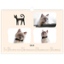 Fotokalender A3 — Katzen und Kritzeleien [Februar]