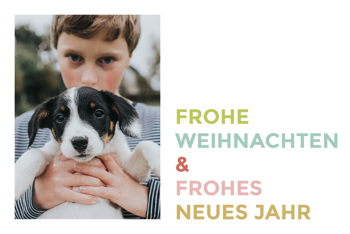 Fotokarten — Bunte Schrift