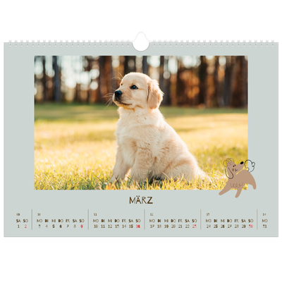 Fotokalender A3 — Verspielter Welpe [Marsch]