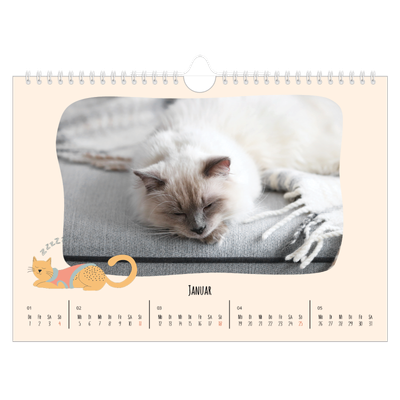 Fotokalender A4 — Katzen und Kritzeleien [Januar]