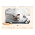 Fotokalender A4 — Katzen und Kritzeleien [Januar]