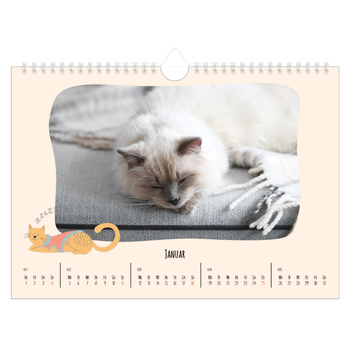 Fotokalender A4 — Katzen und Kritzeleien