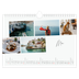 Fotokalender A4 — Städtereise [Mai]